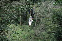  2007-12-10 14.17.26.JPG 